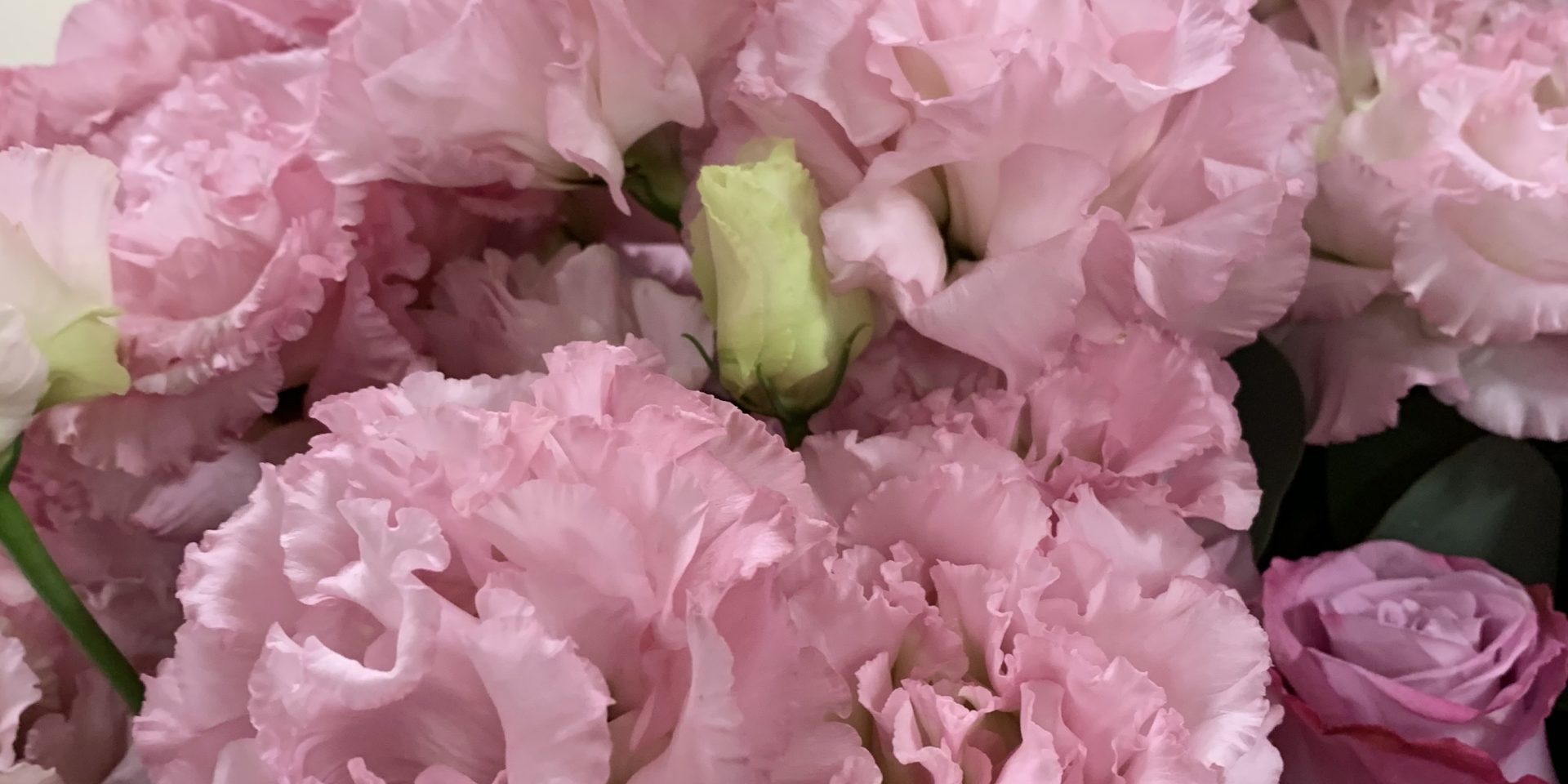 9E048141-7BD2-41F4-A3D8-30C3CC077E43